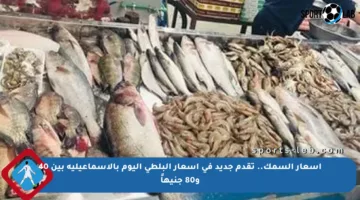 أسعار السمك.. تقدم جديد في أسعار البلطي اليوم بالإسماعيلية بين 40 و80 جنيهاً